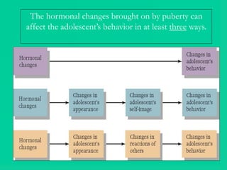 The hormonal changes brought on by puberty can
affect the adolescent’s behavior in at least three ways.
 