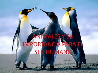 ANIMALES Y SU
IMPORTANCIA PARA EL
SER HUMANO

 