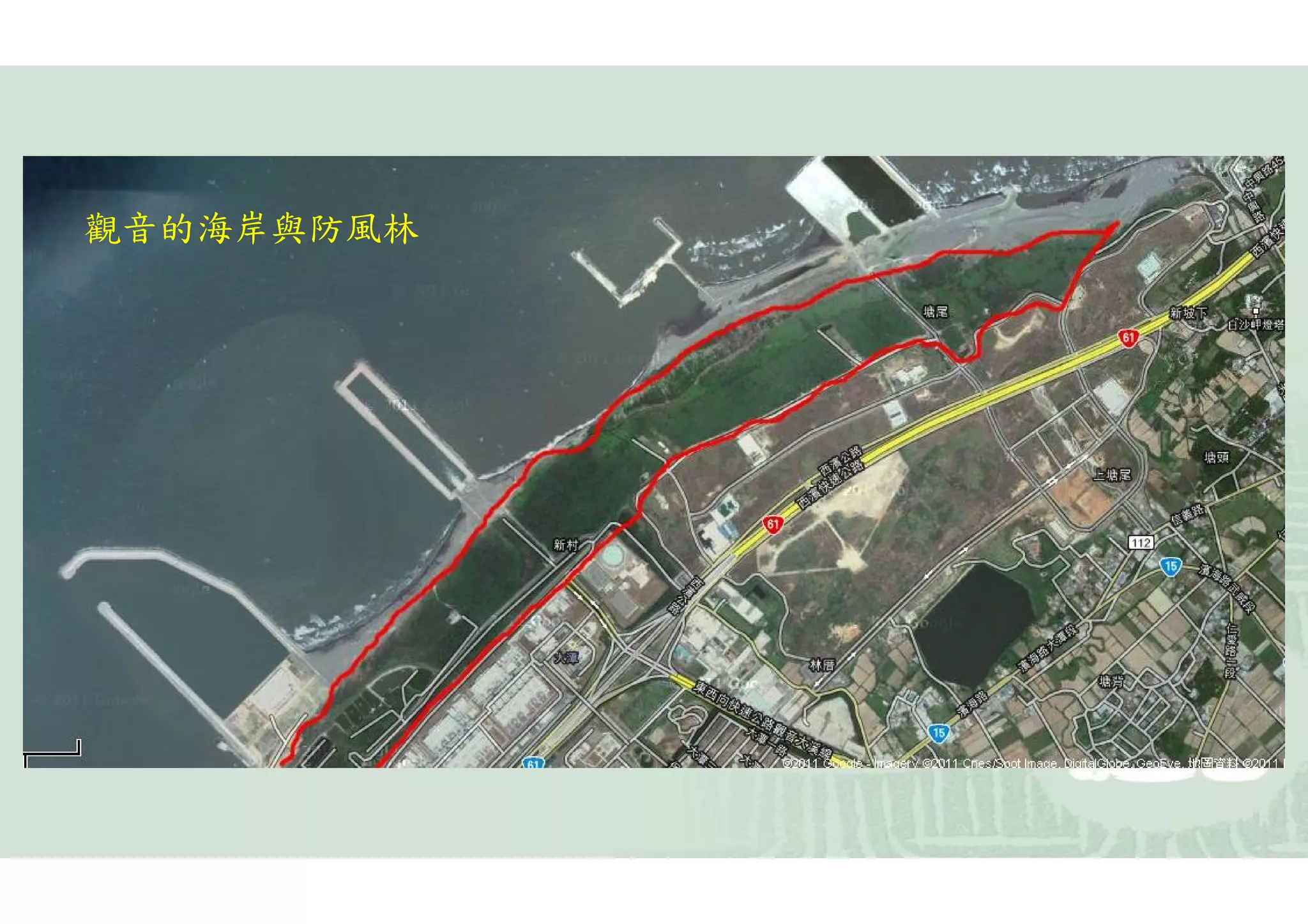 觀音的海岸與防風林
 