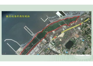觀音的海岸與防風林
 