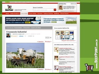 Cruzamento Industrial  <ul><li>http://www.beefpoint.com.br/mypoint/2248/fotoPg.aspx?idFoto=16301 </li></ul>