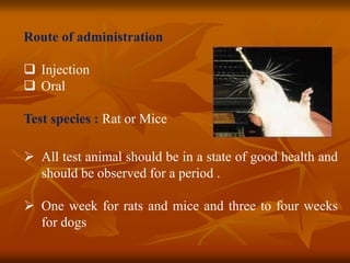 Route of administration
 Injection
 Oral
Test species : Rat or Mice
 All test animal should be in a state of good health and
should be observed for a period .
 One week for rats and mice and three to four weeks
for dogs
 