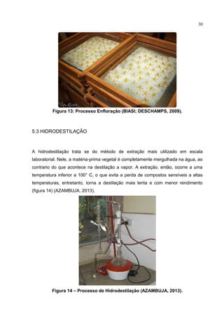 30
Figura 13: Processo Enfloração (BIASI; DESCHAMPS, 2009).
5.3 HIDRODESTILAÇÃO
A hidrodestilação trata se do método de extração mais utilizado em escala
laboratorial. Nele, a matéria-prima vegetal é completamente mergulhada na água, ao
contrario do que acontece na destilação a vapor. A extração, então, ocorre a uma
temperatura inferior a 100° C, o que evita a perda de compostos sensíveis a altas
temperaturas, entretanto, torna a destilação mais lenta e com menor rendimento
(figura 14) (AZAMBUJA, 2013).
Figura 14 – Processo de Hidrodestilação (AZAMBUJA, 2013).
 