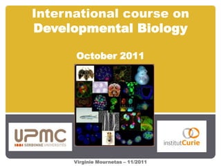 International course on
Developmental Biology

      October 2011




      Virginie Mournetas – 11/2011
 