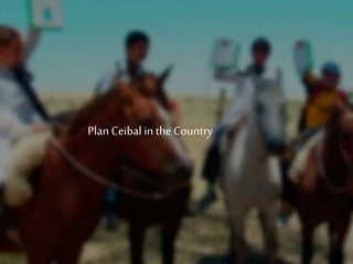 PlanCeibalin theCountry
 