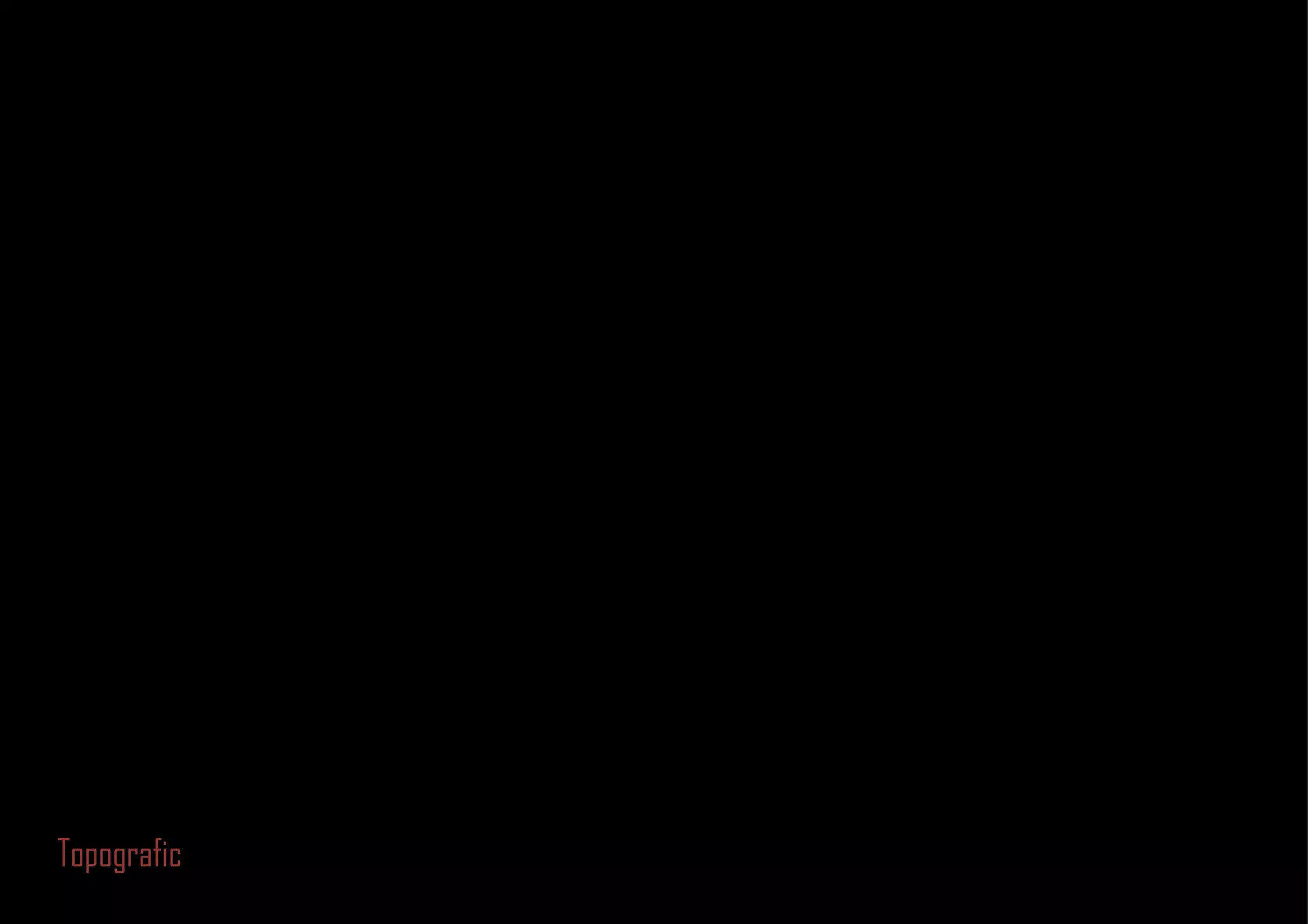 Topografic 