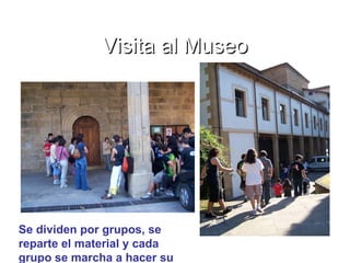 Visita al Museo Se dividen por grupos, se reparte el material y cada grupo se marcha a hacer su trabajo. 