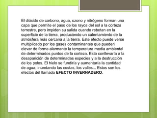 El dióxido de carbono, agua, ozono y nitrógeno forman una
capa que permite el paso de los rayos del sol a la corteza
terrestre, pero impiden su salida cuando rebotan en la
superficie de la tierra, produciendo un calentamiento de la
atmósfera más cercana a la tierra. Este efecto puede verse
multiplicado por los gases contaminantes que pueden
elevar de forma alarmante la temperatura media ambiental
de determinados puntos de la corteza. Esto conllevaría a la
desaparición de determinadas especies y a la destrucción
de los polos. El hielo se fundiría y aumentaría la cantidad
de agua, inundando las costas, los valles... Estos son los
efectos del llamado EFECTO INVERNADERO.
 