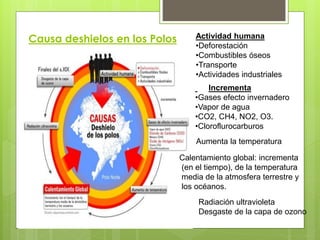 Causa deshielos en los Polos Actividad humana
•Deforestación
•Combustibles óseos
•Transporte
•Actividades industriales
Incrementa
•Gases efecto invernadero
•Vapor de agua
•CO2, CH4, NO2, O3.
•Cloroflurocarburos
Aumenta la temperatura
Calentamiento global: incrementa
(en el tiempo), de la temperatura
media de la atmosfera terrestre y
los océanos.
Radiación ultravioleta
Desgaste de la capa de ozono
 