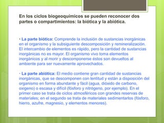 En los ciclos biogeoquímicos se pueden reconocer dos
partes o compartimientos: la biótica y la abiótica.
· La parte biótica: Comprende la inclusión de sustancias inorgánicas
en el organismo y la subsiguiente descomposición y remineralización.
El intercambio de elementos es rápido, pero la cantidad de sustancias
inorgánicas no es mayor. El organismo vivo toma elementos
inorgánicos y al morir y descomponerse éstos son devueltos al
ambiente para ser nuevamente aprovechados.
· La parte abiótica: El medio contiene gran cantidad de sustancias
inorgánicas, que se descomponen con lentitud y están a disposición del
organismo en forma abundante y fácil (agua, dióxido de carbono,
oxigeno) o escasa y difícil (fósforo y nitrógeno, por ejemplo). En el
primer caso se trata de ciclos atmosféricos con grandes reservas de
materiales; en el segundo se trata de materiales sedimentarlos (fósforo,
hierro, azufre, magnesio, y elementos menores).
 
