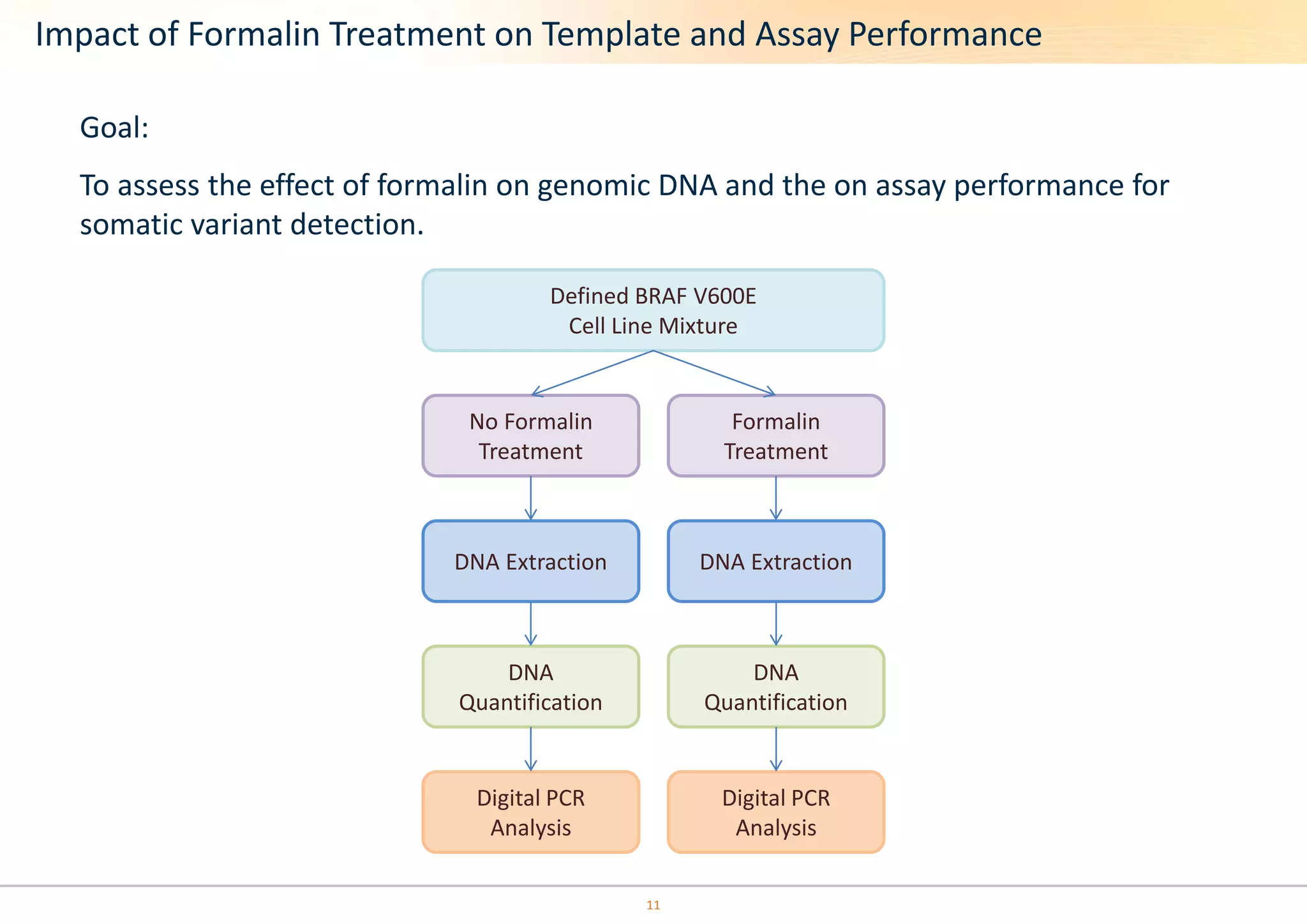 Impact of Formalin Treatment on Template and Assay Performance 
Goal: 
To assess the effect of formalin on genomic DNA and the on assay performance for 
somatic variant detection. 
Defined BRAF V600E 
Cell Line Mixture 
No Formalin 
Treatment 
Formalin 
Treatment 
DNA Extraction DNA Extraction 
DNA 
Quantification 
DNA 
Quantification 
Digital PCR 
Analysis 
Digital PCR 
Analysis 
11 
 
