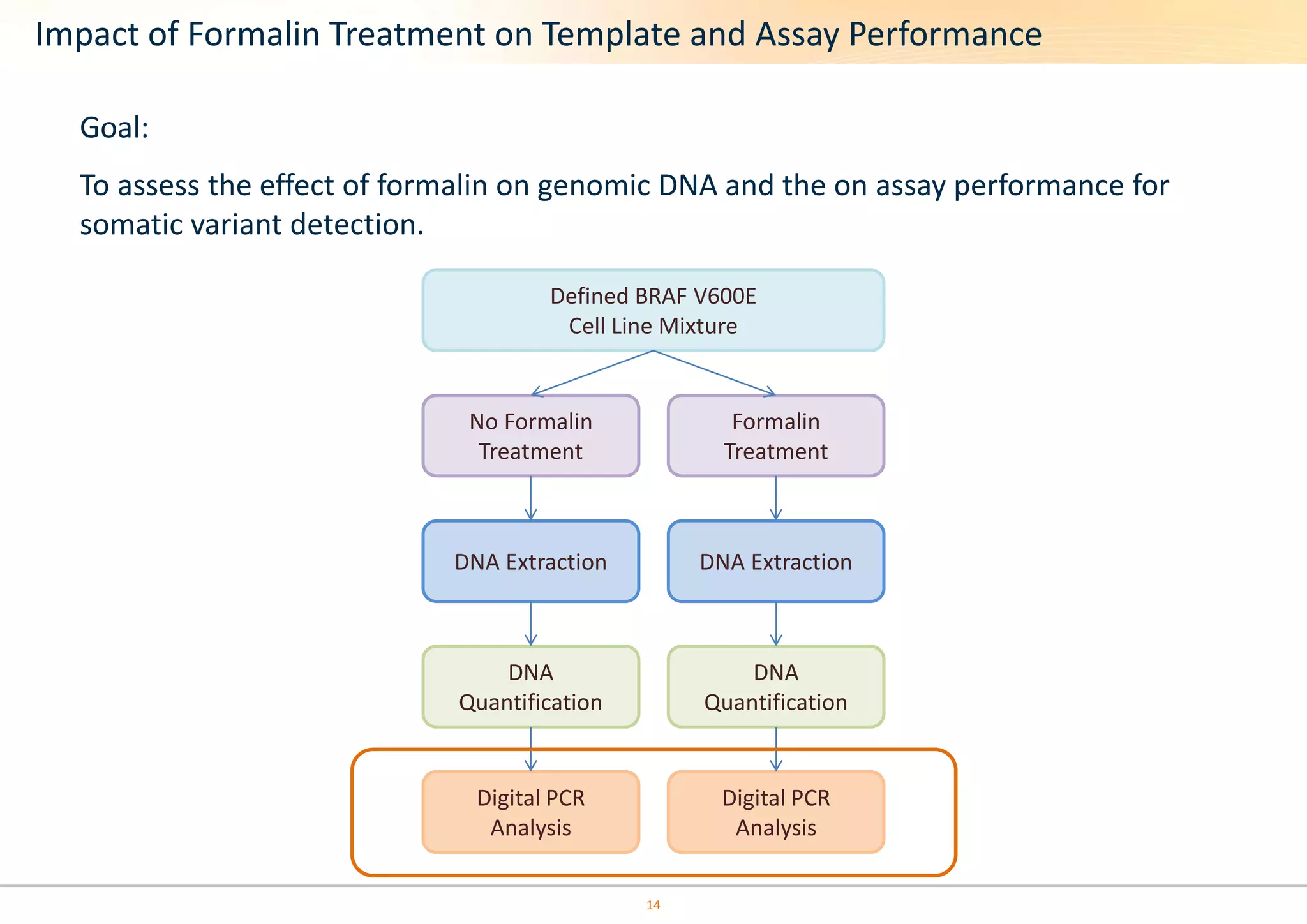 Impact of Formalin Treatment on Template and Assay Performance 
Goal: 
To assess the effect of formalin on genomic DNA and the on assay performance for 
somatic variant detection. 
Defined BRAF V600E 
Cell Line Mixture 
No Formalin 
Treatment 
Formalin 
Treatment 
DNA Extraction DNA Extraction 
DNA 
Quantification 
DNA 
Quantification 
Digital PCR 
Analysis 
Digital PCR 
Analysis 
14 
 