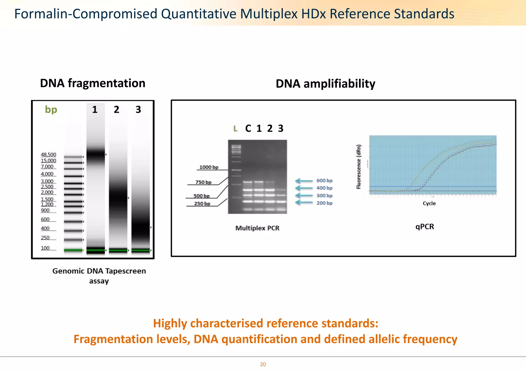 Formalin-Compromised Quantitative Multiplex HDx Reference Standards 
DNA fragmentation DNA amplifiability 
C 1 2 3 
Highly characterised reference standards: 
Fragmentation levels, DNA quantification and defined allelic frequency 
20 
 