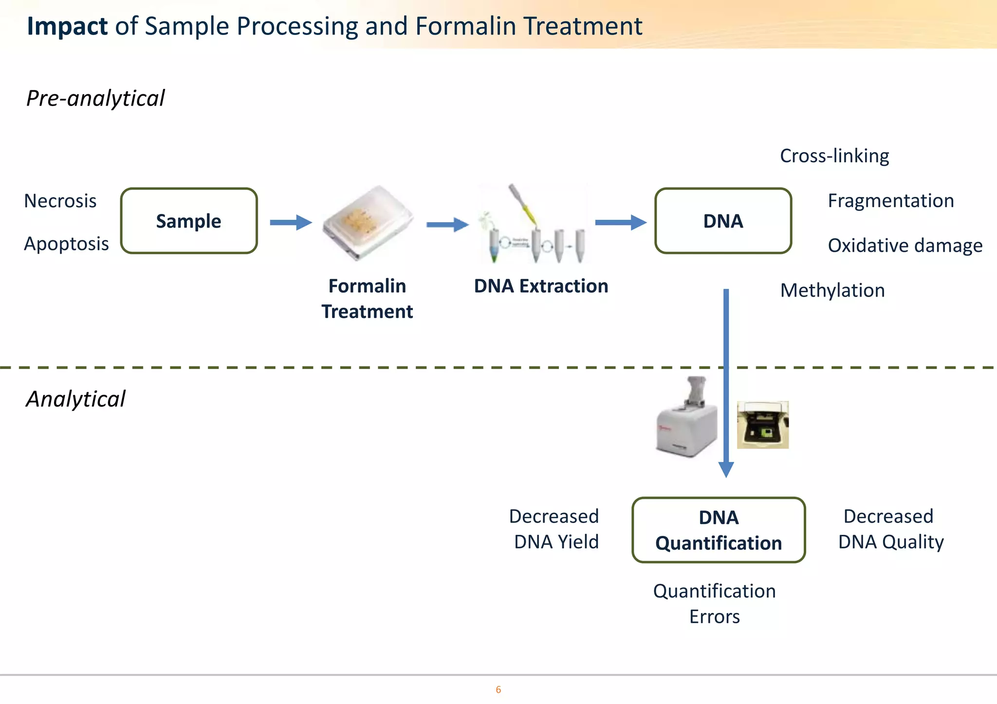 Impact of Sample Processing and Formalin Treatment 
Necrosis Fragmentation 
6 
Pre-analytical 
Analytical 
DNA 
DNA 
Quantification 
Decreased 
DNA Yield 
Decreased 
DNA Quality 
Quantification 
Errors 
Cross-linking 
Oxidative damage 
Methylation 
Sample 
Apoptosis 
Formalin DNA Extraction 
Treatment 
 