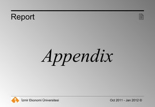 Appendix Report  