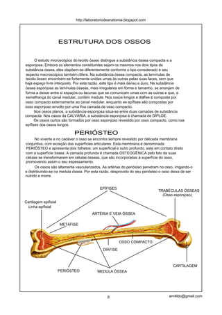 http://laboratoriodeanatomia.blogspot.com




                       ESTRUTURA DOS OSSOS


      O estudo microscópico do tecido ósseo distingue a substância óssea compacta e a
esponjosa. Embora os elementos constituintes sejam os mesmos nos dois tipos de
substância óssea, eles dispõem-se diferentemente conforme o tipo considerado e seu
aspecto macroscópico também difere. Na substância óssea compacta, as lamínulas de
tecido ósseo encontram-se fortemente unidas umas às outras pelas suas faces, sem que
haja espaço livre interposto. Por esta razão, este tipo é mais denso e duro. Na substância
óssea esponjosa as lamínulas ósseas, mais irregulares em forma e tamanho, se arranjam de
forma a deixar entre si espaços ou lacunas que se comunicam umas com as outras e que, a
semelhança do canal medular, contém medula. Nos ossos longos a diáfise é composta por
osso compacto externamente ao canal medular, enquanto as epífises são compostas por
osso esponjoso envolto por uma fina camada de osso compacto.
      Nos ossos planos, a substância esponjosa situa-se entre duas camadas de substância
compacta. Nos ossos da CALVÁRIA, a substância esponjosa é chamada de DÍPLOE.
      Os ossos curtos são formados por osso esponjoso revestido por osso compacto, como nas
epífises dos ossos longos.

                             PERIÓSTEO
      No vivente e no cadáver o osso se encontra sempre revestido por delicada membrana
conjuntiva, com exceção das superfícies articulares. Esta membrana é denominada
PERIÓSTEO e apresenta dois folhetos: um superficial e outro profundo, este em contato direto
com a superfície óssea. A camada profunda é chamada OSTEOGÊNICA pelo fato de suas
células se transformarem em células ósseas, que são incorporadas à superfície do osso,
promovendo assim o seu espessamento.
      Os ossos são altamente vascularizados. As artérias do periósteo penetram no osso, irrigando-o
e distribuindo-se na medula óssea. Por esta razão, desprovido do seu periósteo o osso deixa de ser
nutrido e morre.


                                            EPÍFISES
                                                                              TRABÉCULAS ÓSSEAS
                                                                                (Osso esponjoso)
Cartilagem epifisial
 Linha epifisial
                                       ARTÉRIA E VEIA ÓSSEA

                       METÁFISE



                                                        OSSO COMPACTO

                                              DIÁFISE



                                                                                       CARTILAGEM
                       PERIÓSTEO          MEDULA ÓSSEA




                                                8                                    arn4ldo@gmail.com
 