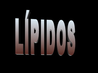 LÍPIDOS 