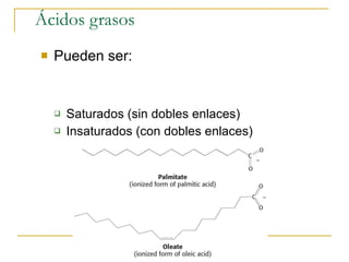 Ácidos grasos Pueden ser: Saturados (sin dobles enlaces) Insaturados (con dobles enlaces) 