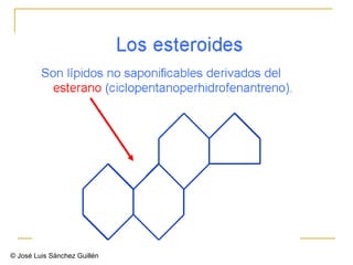 ©  José Luis Sánchez Guillén  