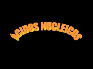 ÁCIDOS NUCLEICOS 