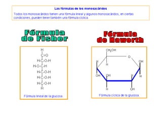 Fórmula de Fisher Fórmula de Haworth 