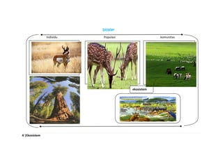 4 |Ekosistem
biosfer
Individu Populasi komunitas
ekosistem
 