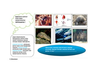 5 |Ekosistem
Bagaiamana makhluk
hidup dapat
mempertahankan
kehidupanya ?
Dalam mempertahankan
kehidupannya, makhluk hidup
memiliki kemampuan adaptasi
terhadap keadaan lingkungannya.
Adaptasi morfologi : penyesuaian
bentuk tubuh untuk kelangsungan
hidupnya. Adaptasi fisiologi :
penyesuaian fungsi fisiologi tubuh.
Adaptasi perilaku : penyusaian yang
didasarkan perilaku untuk
mempertahankan hidupnya.
Menurutmu, manakah yang termasuk adaptasi
morfologi, adaptasi fisiologi, adaptasi perilaku dari
gambar di atas ? ............................................................
 