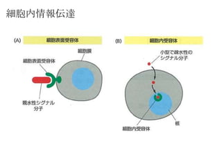 ϸ鱨
 