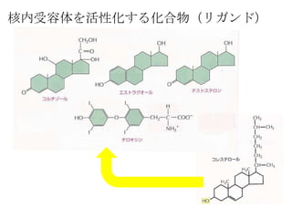 Ի뻯ꥬɣ
 