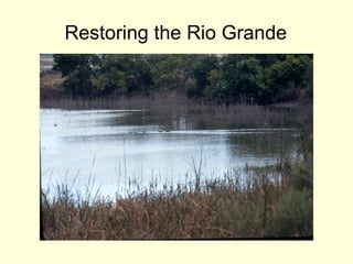 Restoring the Rio Grande 