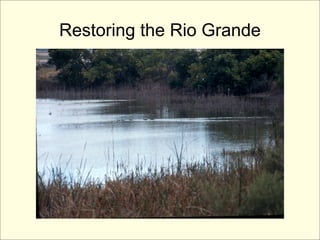 Restoring the Rio Grande
 