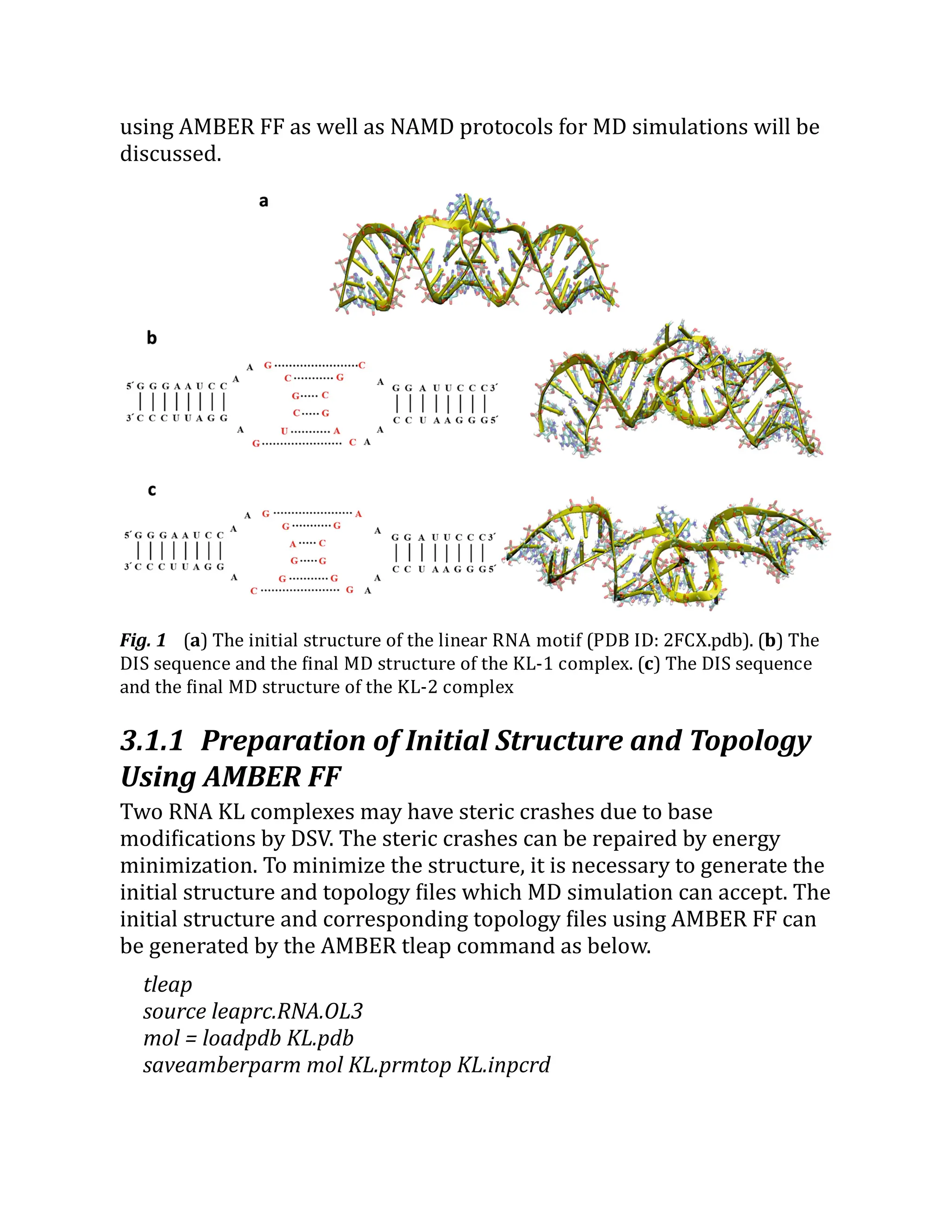 using AMBER FF as well as NAMD protocols for MD simulations will be
discussed.
Fig. 1 (a) The initial structure of the linear RNA motif (PDB ID: 2FCX.pdb). (b) The
DIS sequence and the final MD structure of the KL-1 complex. (c) The DIS sequence
and the final MD structure of the KL-2 complex
3.1.1 Preparation of Initial Structure and Topology
Using AMBER FF
Two RNA KL complexes may have steric crashes due to base
modifications by DSV. The steric crashes can be repaired by energy
minimization. To minimize the structure, it is necessary to generate the
initial structure and topology files which MD simulation can accept. The
initial structure and corresponding topology files using AMBER FF can
be generated by the AMBER tleap command as below.
tleap
source leaprc.RNA.OL3
mol = loadpdb KL.pdb
saveamberparm mol KL.prmtop KL.inpcrd
 