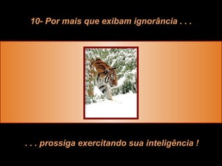 10- Por mais que exibam ignorância . . . . . . prossiga exercitando sua inteligência ! 