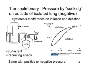Transpulmonary Pressure by “sucking”
  on outside of isolated lung (negative)
    Hysteresis = difference on inﬂation and deﬂation

                                  deﬂation




                                               inﬂation




-Surfactant
-Recruiting alveoli                 Source Undetermined




 Same with positive or negative pressure.                 10
 