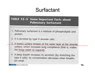 Surfactant




Source Undetermined                14
 
