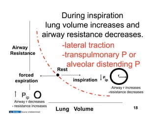 During inspiration
                            lung volume increases and
                           airway resistance decreases.
 Airway                          -lateral traction
Resistance
                                 -transpulmonary P or
                                   alveolar distending P
                               Rest
  forced                                            P
                                                               r
 expiration                           inspiration    ip

                                                            Airway r increases
                                                          -resistance decreases
      Pip
  Airway r decreases
- resistance increases
                              Lung Volume                                18
     Source Undetermined
 