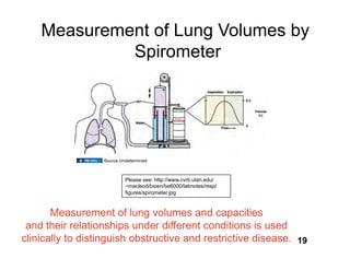 Measurement of Lung Volumes by
             Spirometer




                  Source Undetermined



                           Please see: http://www.cvrti.utah.edu/
                           ~macleod/bioen/be6000/labnotes/resp/
                           figures/spirometer.jpg



       Measurement of lung volumes and capacities
 and their relationships under different conditions is used
clinically to distinguish obstructive and restrictive disease. 19
 
