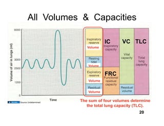 All Volumes & Capacities

                                  IC     VC TLC
                         Volume




                         Volume


                                  FRC
                         Volume


                         Volume


Source Undetermined
                      The sum of four volumes determine
                         the total lung capacity (TLC).
                                                 20
 