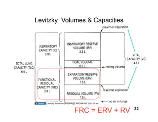 Levitzky Volumes & Capacities




    Levitzky. Pulmonary Physiology. McGraw-Hill, 2003. 6th ed.

                                                                 22
                                  FRC = ERV + RV
 
