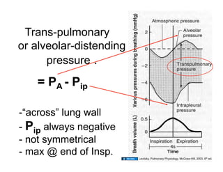 Trans-pulmonary
or alveolar-distending
      pressure .
    = PA - Pip

-“across” lung wall
- Pip always negative
- not symmetrical
- max @ end of Insp.                                               8
                         Levitzky. Pulmonary Physiology. McGraw-Hill, 2003. 6th ed.
 