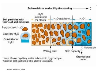 Available Water Holding Capacity Rhoads and Yonts, 1984. Storage capacity Silty clay loam   1.8 Clay loam   1.8 Silty clay   1.6 Silt loam   2.0 Sandy loam     1.4 Texture  (in./ft.) 