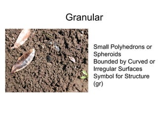 Granular Small Polyhedrons or Spheroids Bounded by Curved or Irregular Surfaces Symbol for Structure (gr) 