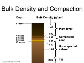 Bulk Density and Compaction 8 inches 1.43 0 inches 7 inches 9 inches 10 inches Bulk Density (g/cm 3 ) 1.90 1.87 1.84 1.80 1.60 Plow layer Compacted zone Uncompacted  subsoil Depth Data from Camp and Lund Till 2.20 