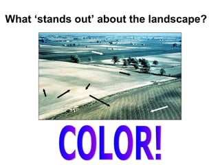 What ‘stands out’ about the landscape? COLOR! 