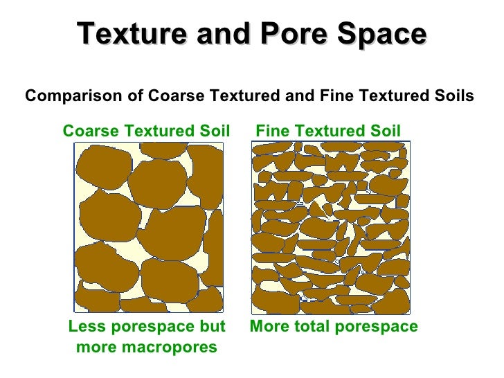 Site and Soil Evaluation and Soil Protection