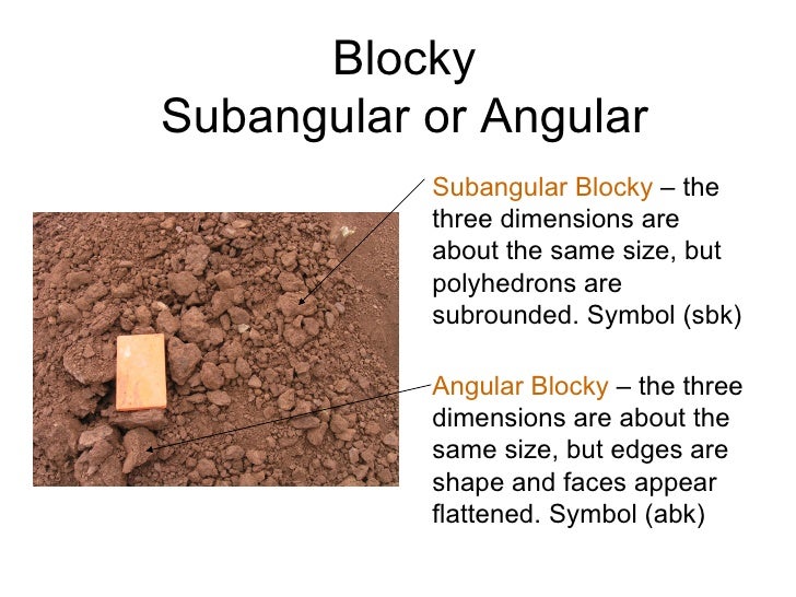 Site and Soil Evaluation and Soil Protection
