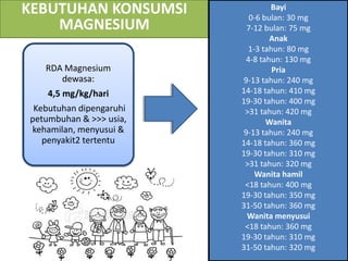 111499260 magnesium | PDF