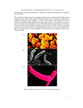 BAYESIAN PROKARYOTE CLASSIFICATION FROM MICROSCOPIC IMAGES | PDF
