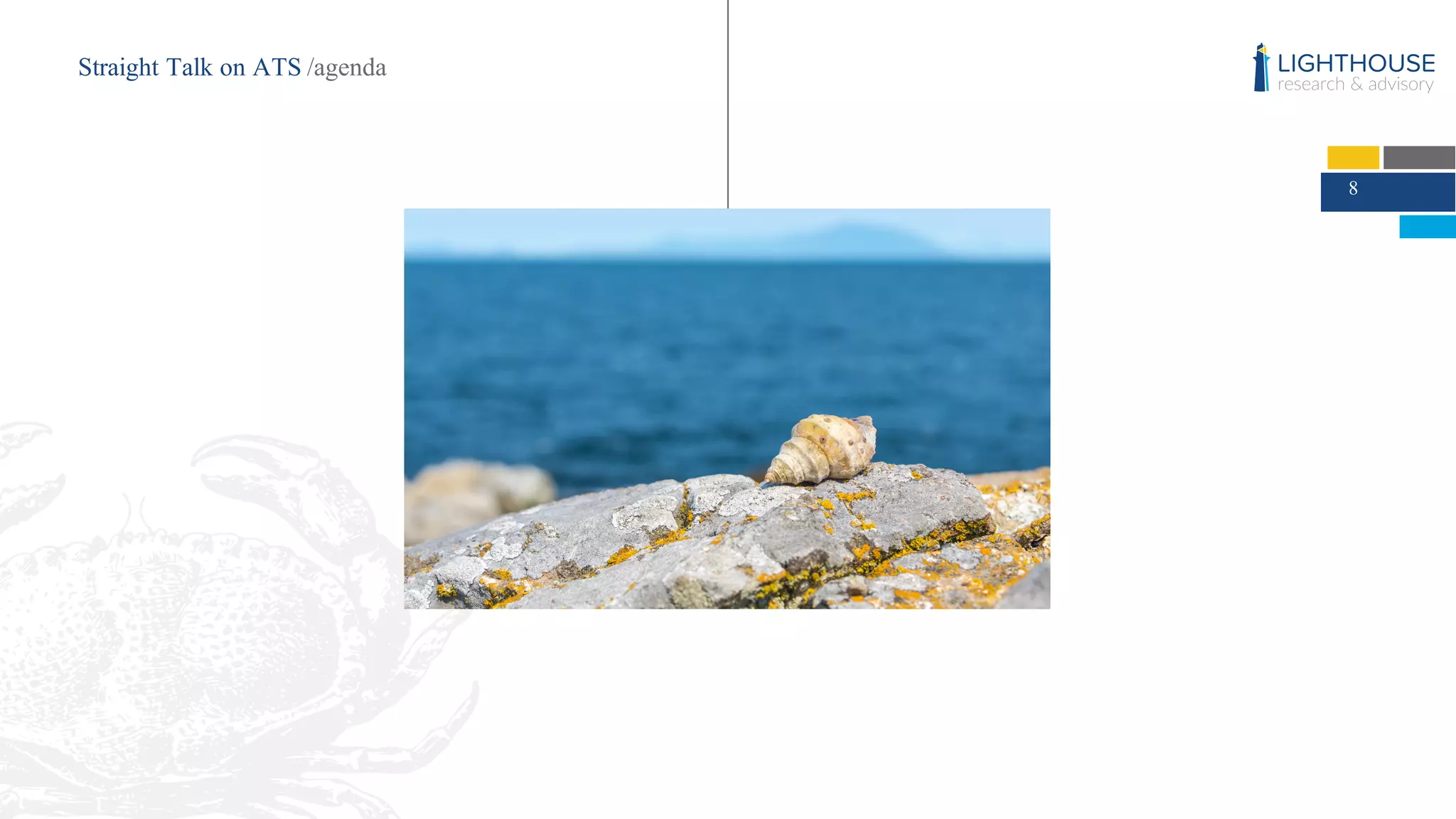 8
Straight Talk on ATS /agenda
 