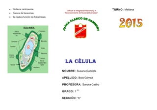 • No tiene centrosoma.
• Carece de lisosomas.
• Se realiza función de fotosíntesis.
“Año de la Integración Nacional y el
Reconocimiento de Nuestra Diversidad”
La CÉLULa
NOMBRE: Susana Gabriela
APELLIDO: Bolo Gómez
PROFESORA: Sandra Castro
GRADO: 1
ero
SECCIÓN: “E”
TURNO: Mañana
 